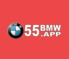 BMW55